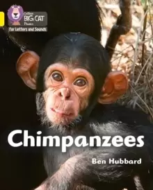 Image of Chimpanzees : Band 03/Yellow