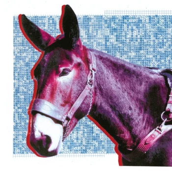 Image of Protomartyr - Ultimate Success Today Vinyl