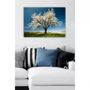 Image of 12334645-5070 Multicolor Decorative Canvas Painting