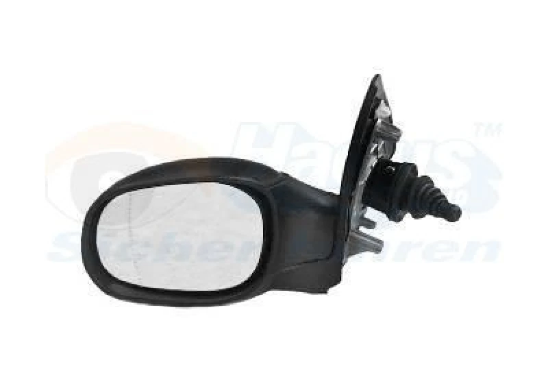 Image of VAN WEZEL Wing mirror VAN WEZEL 4028803