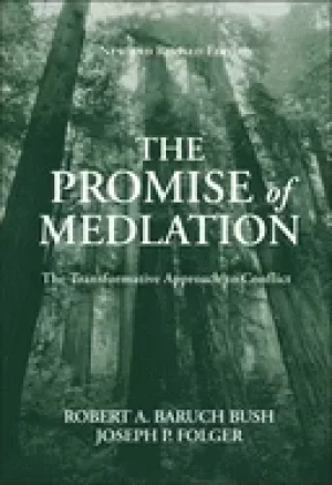 Image of promise of mediation the transformative approach to conflict
