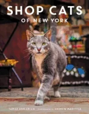 Image of shop cats of new york
