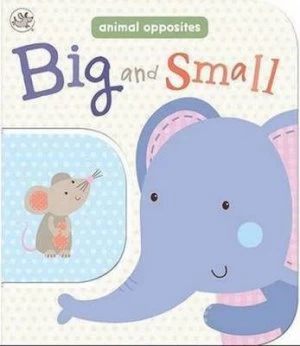 Image of Big and Small by Parragon Hardback