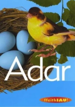 Image of Adar by Paul Mcevoy Paperback