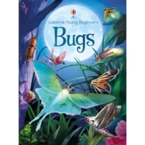 Image of Young Beginners Bugs