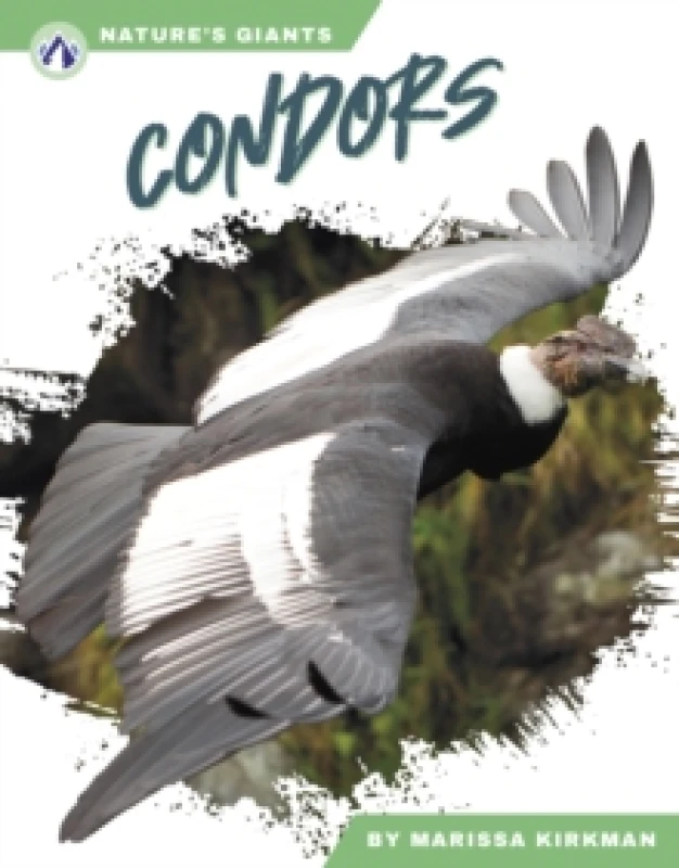 Image of Condors Hardback
