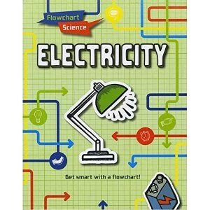 Image of Electricity Paperback / softback 2018