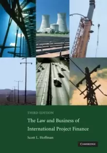 Image of The Law and Business of International Project Finance : A Resource for Governments, Sponsors, Lawyers, and Project Participants