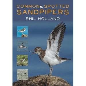 Image of Common and Spotted Sandpipers Paperback / softback 2018