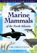 Image of marine mammals of the north atlantic