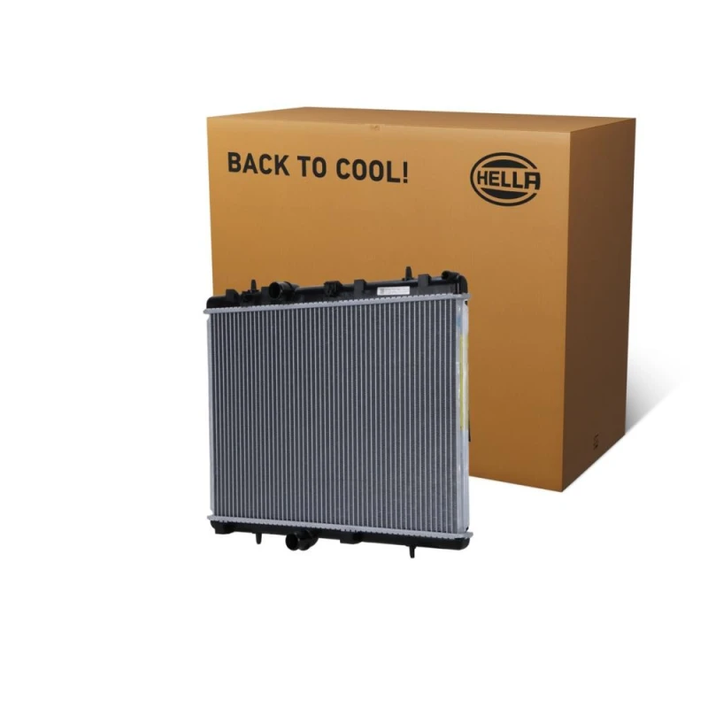 Image of HELLA Engine radiator HELLA 8MK 366 300-231