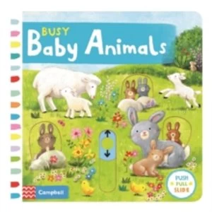 Image of Busy Baby Animals