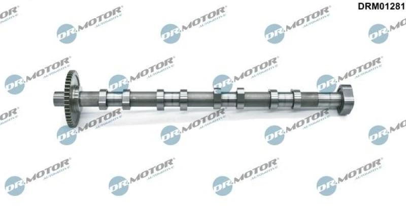 Image of DR.MOTOR AUTOMOTIVE Camshaft DR.MOTOR AUTOMOTIVE DRM01281