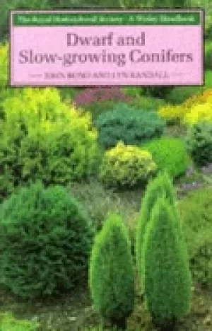 Image of dwarf and slow growing conifers the royal hoticultural society a wisley han