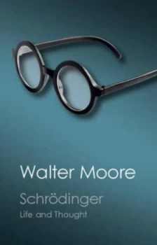 Image of Schrdinger by Walter Moore Paperback