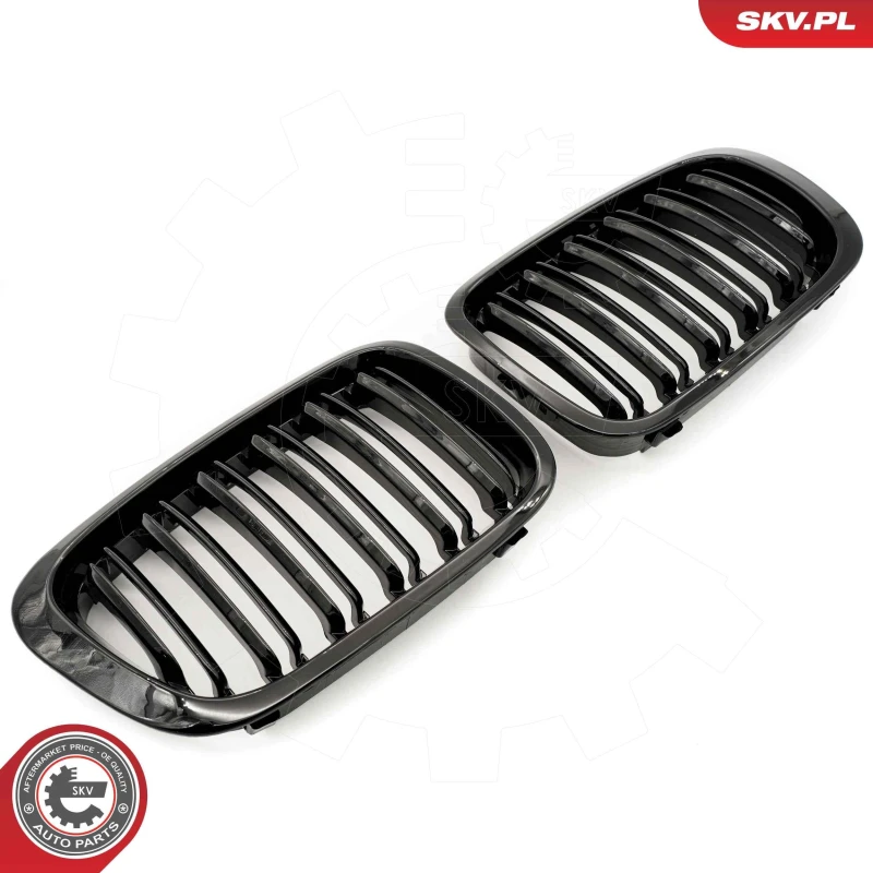 Image of ESEN SKV Radiator Grille ESEN SKV 66SKV066