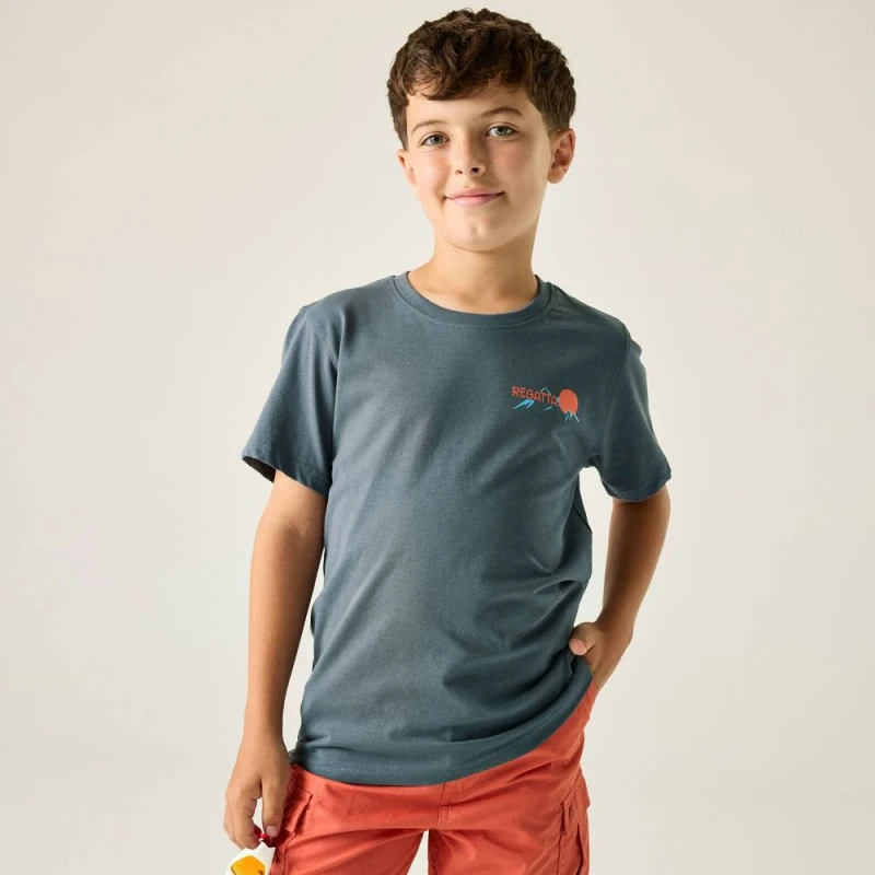 Image of Regatta Bosley Short Sleeved Graphic T-Shirt in Dark Grey Size: 11-12 Years Dark Grey Unisex 11-12 Years