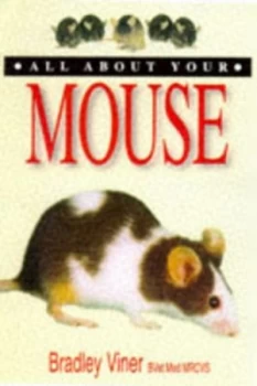 Image of All about Your Mouse by Bradley Viner Paperback