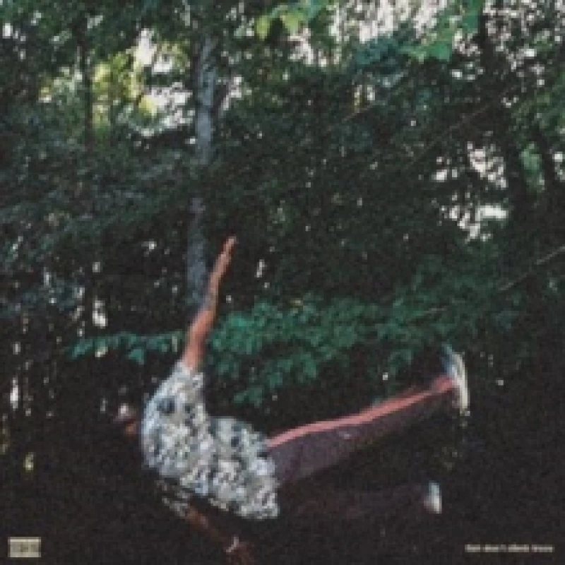 Image of Fish Don't Climb Trees Vinyl
