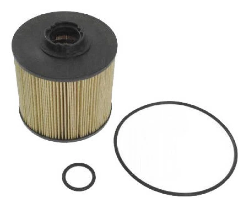 Image of Blue PRINT ADC42360 Fuel Filter Filter Insert, with gaskets/seals Fuel filter (9)