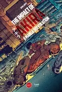 Image of impact of akira