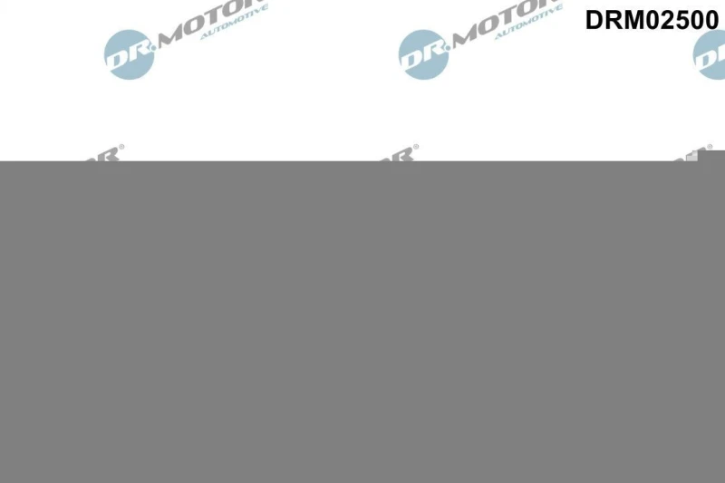 Image of DR.MOTOR AUTOMOTIVE Camshaft seal DR.MOTOR AUTOMOTIVE DRM02500