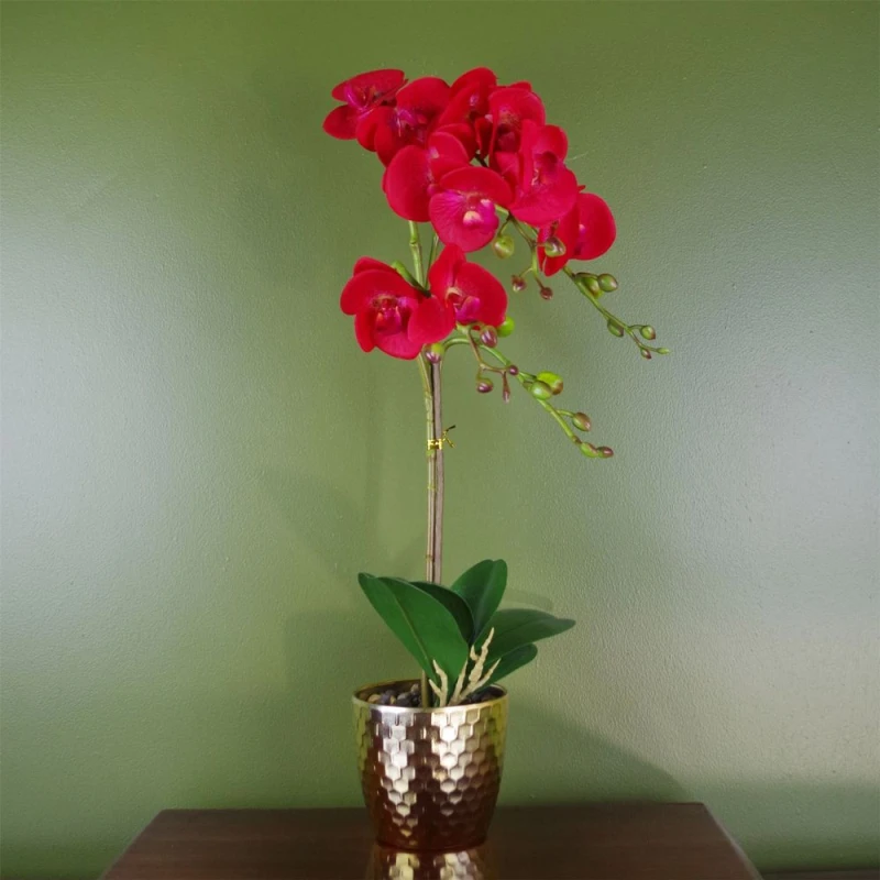 Image of Leaf 50cm Phalaenopsis Orchid Artificial - Red Leopard - Gold Pot Red