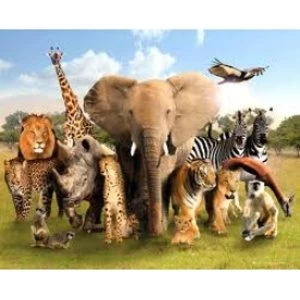 Image of Wild World Mini Poster