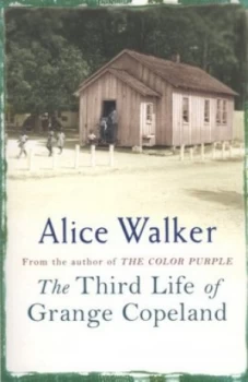 Image of The Third Life of Grange Copeland by Alice Walker Book
