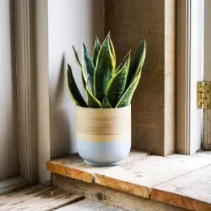 Image of Ivyline Bamboo Grey Planter - D28Cm