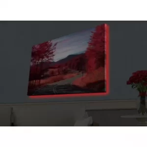 Image of 4570HDACT-065 Multicolor Decorative LED Lighted Canvas Painting
