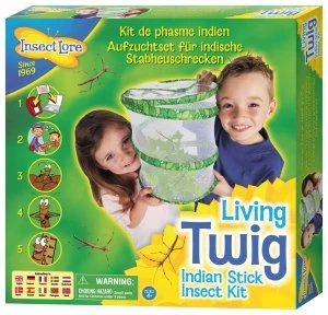 Image of Insect Lore Living Twig Indian Stick Insect Kit