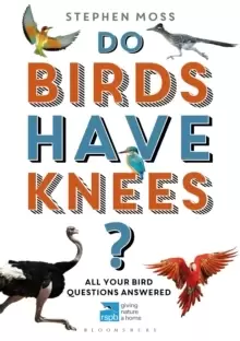 Image of Do Birds Have Knees? All Your Bird Questions Answered