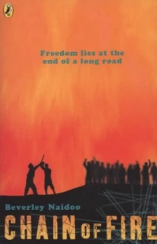 Image of Chain of Fire by Beverley Naidoo Paperback