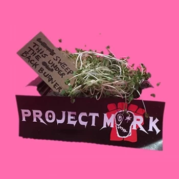 image of Project Mork - Sweep This Under the Backburner Vinyl