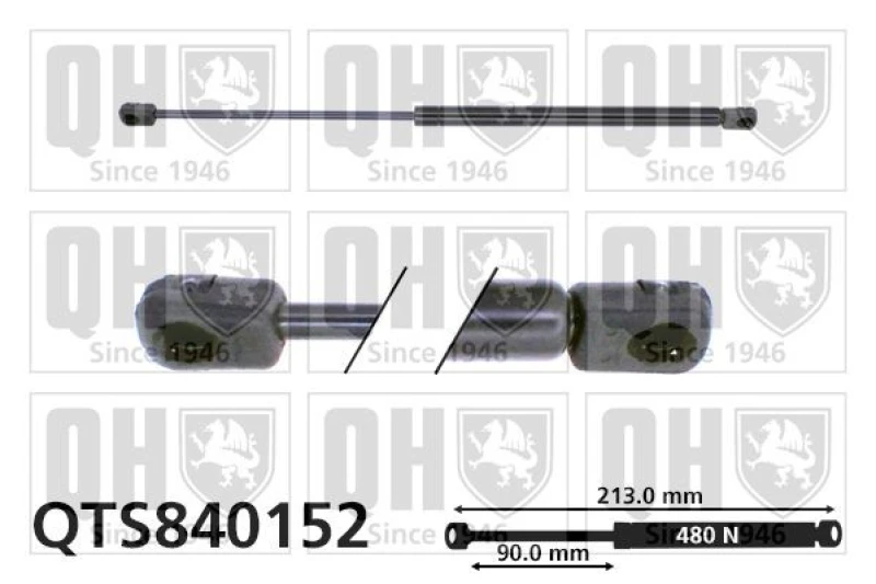 Image of QUINTON HAZELL Tailgate strut QUINTON HAZELL QTS840152