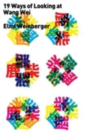 Image of nineteen ways of looking at wang wei