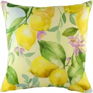 Image of Evans Lichfield Fruit Lemon Cushion Cover (One Size) (Yellow/Green/Pink)
