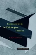 Image of expressionism in philosophy spinoza