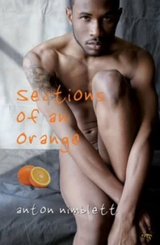 Image of Sections of an Orange by Anton Nimblett