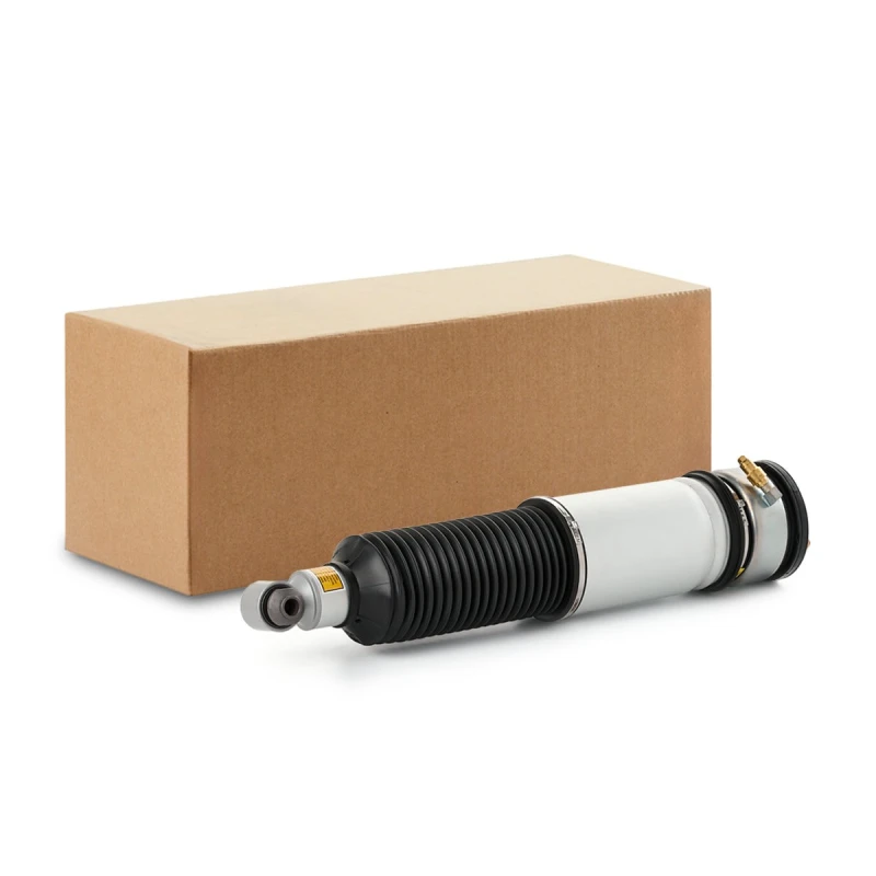 Image of RIDEX Air suspension strut RIDEX 4118A0107