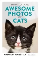 Image of how to take awesome photos of cats