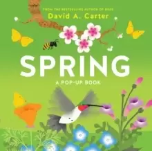 Image of Spring : A Pop-up Book