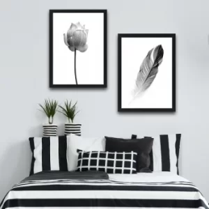 Image of Flower Feather Set Multicolor Decorative Framed Painting (2 Pieces)
