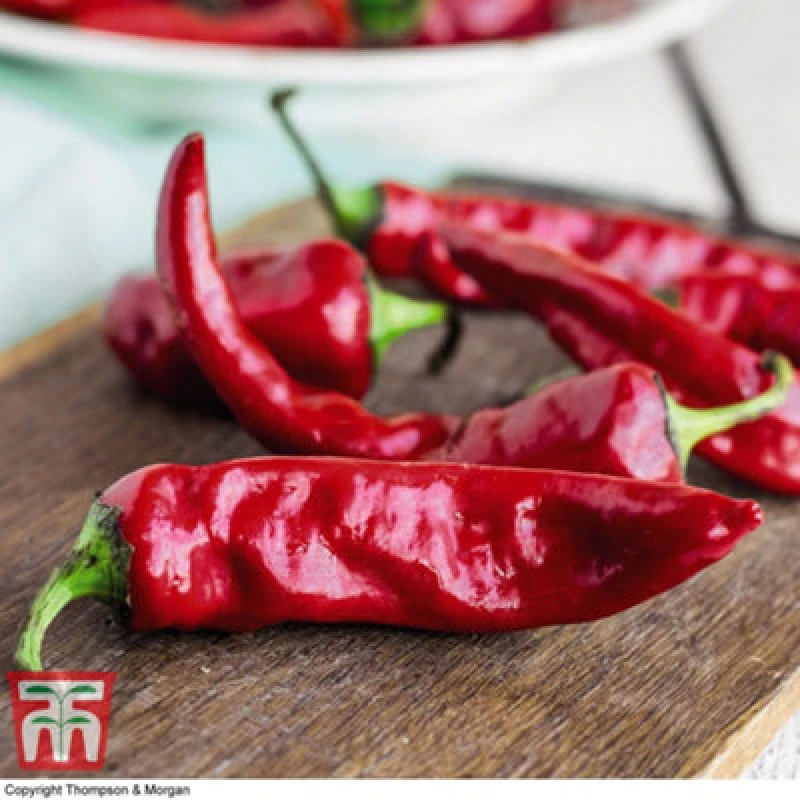 Image of Thompson & Morgan Chilli Pepper Anaheim 1 Seed Packet (20 Seeds)