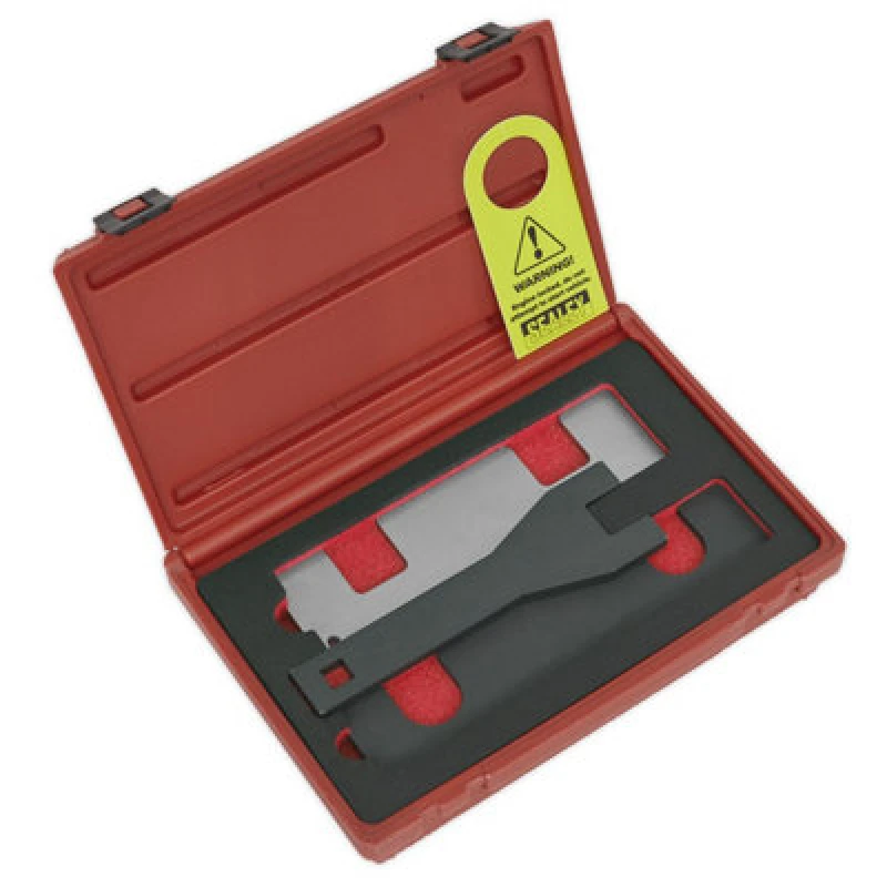 Image of Sealey Sealey Petrol Engine Timing Tool Kit - for GM 1.0/1.4 Chain Drive VSE5067 5054630338625