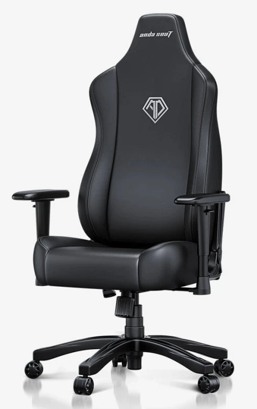 Image of Anda Seat Anda seaT Novis pro Large Gaming Chair - Black AD23-L-01-B-PV-B03