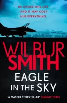 Image of Eagle in the Sky