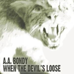 Image of When the Devils Loose by A.A. Bondy CD Album