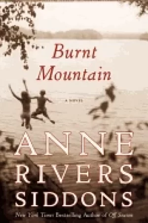 Image of burnt mountain